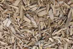 biomass boilers Preesgweene