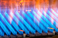 Preesgweene gas fired boilers